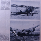 Lehti Hakaristi Saksan Ilmavoimat lehti Adler Luftwaffe - pikkukuva 3
