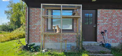 Kissan Ulkoiluhäkki 260cm x210cm