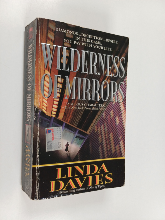 Linda Davies : Wilderness of mirrors