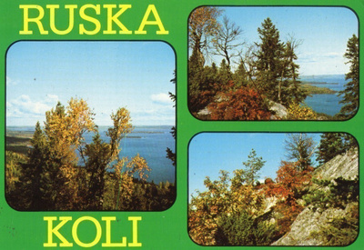 Postikortti Koli Ruska.