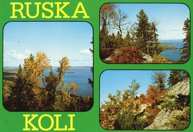 Postikortti Koli Ruska.