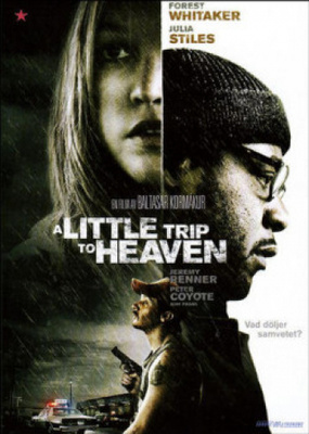A little trip to heaven (DVD)