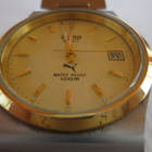 Miesten Rannekello Puma, Quartz - pikkukuva 2