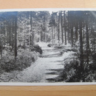 VANHA Postikortti Sandö Kemiönsaari Salo 1930-luku - pikkukuva 1
