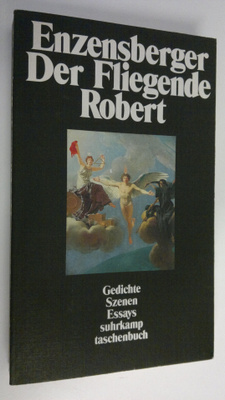 Hans Magnus Enzensberger : Der fliegende Robert
