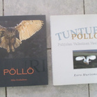TUNTURIPÖLLÖ & PÖLLÖ  ( 2 hyväkuntoista pöllökirjaa kerralla - pikkukuva 1
