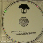 Von Hertzen Brothers • Approach CD - pikkukuva 3