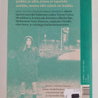 Jenni Pääskysaari : Mielen maantiede : romaani - pikkukuva 2