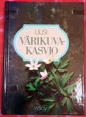Uusi Värikuvakasvio
