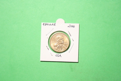 USA Sacagawea Dollar 2000