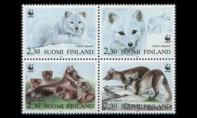 1195-8n ** WWF Naaleja neliö (1993)