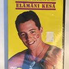 Elämäni kesä (1988) Matthew Broderick [DVD] UUSI MUOVEISSA! - pikkukuva 1