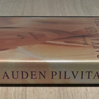 Rakkauden pilvitarha (1995) Alfonso Arau -elokuva - pikkukuva 3