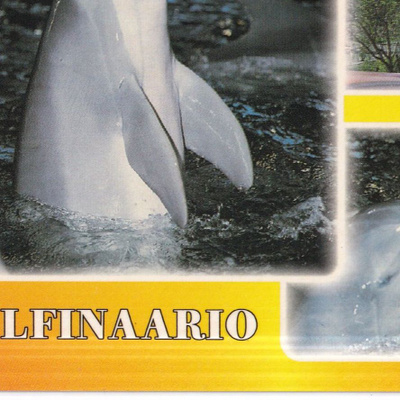 Tampere, Delfinaario. sommitelmakortti . e305