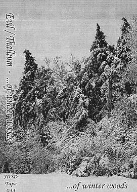 Evil / Thallium – ...Of Winter Woods KASETTI