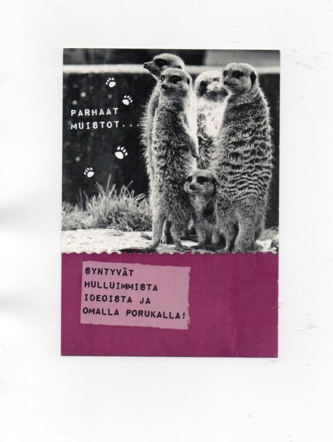 °°PARHAAT MUISTOT...SYNTYVÄT...°° -KORTTI /(Käyttämätön)
