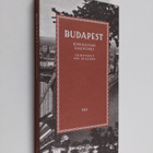 Jani (toim.) Heikkinen : Budapest : kirjailijan kaupunki - pikkukuva 1