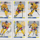 2019-20 Cardset Series 1 Lukko Team Set 12 korttia (97-108) - pikkukuva 2