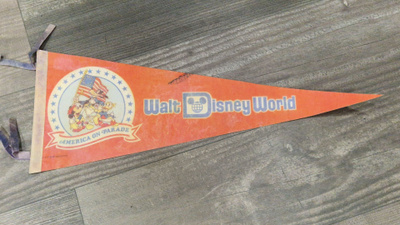 Disney viiri 1970-luku