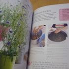 Garden Crafts for Children - 35 fun projects - Uusi - pikkukuva 2