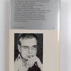 Martin Walser : Vaarallista oleskelua - pikkukuva 2