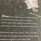 PÖNTINEN - KYNSIJÄRVI: LIITURI / LIITO-ORAVA - pikkukuva 2