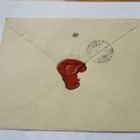 1905 Köyliö kirjattu ehiökuori - pikkukuva 2