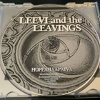 Leevi & The Leavings - Hopeahääpäivä - pikkukuva 2