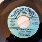 Jimmie Lee Maslon sinkku - pikkukuva 1