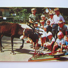 Poro ja lapset #A# - pikkukuva 1