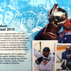 JÄÄKIEKON MM 2013 KULLATTU PRONSSIHARKKO BLISTERISSÄ - pikkukuva 3