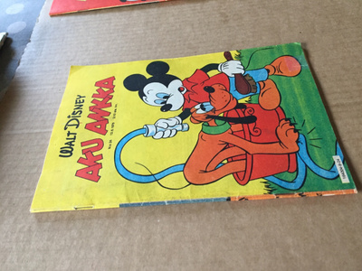 AKU ANKKA 24/1979 HYVÄ