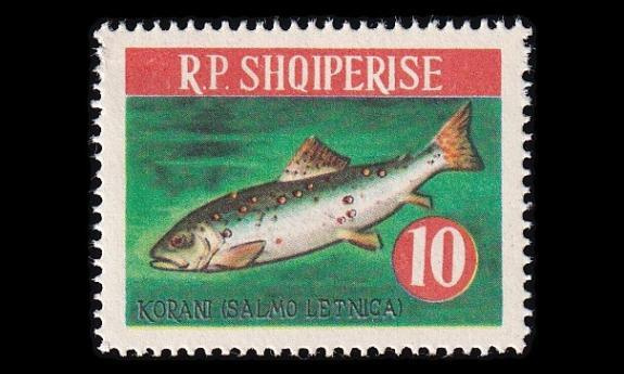 Albania 814 ** Kalat ohridintaimen (1964)