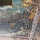 JETHRO TULL THE BROADSWORD AND THE BEAST lp  NIMMARILLA - pikkukuva 2