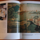 Stephen Turnbull:The Samurai Swordsman-Master of War.Sid. - pikkukuva 4