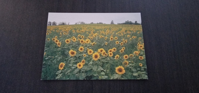 Aurinkoenergiaa, kulkematon uusi postikortti