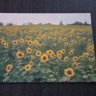Aurinkoenergiaa, kulkematon uusi postikortti - pikkukuva 1