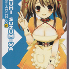 Tanigawa Nagaru: The melancholy of Haruhi Suzumiya 2 - pikkukuva 1