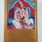 A. C. Bhaktivedanta : Sri Caitanya-caritamrta 4. osa, luv... - pikkukuva 2