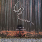 Lunatic Soul - pikkukuva 1