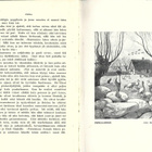 Selma Lagerlöf  PEUKALOISEN RETKET VILLIHANHIEN KANSSA 1 - pikkukuva 3