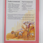 Anne de Graaf : Ruut, Job, Hanna, Saul - pikkukuva 2