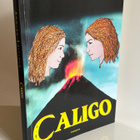 Annika Laitinen: Caligo (tekijän omiste) - pikkukuva 1