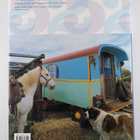 Lisa Lovatt-Smith : Provence interiors - pikkukuva 2