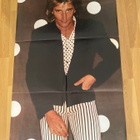 Rod Stewart juliste + Mikko Alatalo juliste - pikkukuva 1
