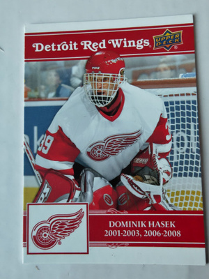 Dominik Hasek 25-26 Detroit Red Wings Centennial