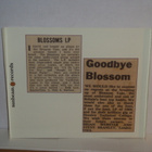 Blossom Toes CD What On Earth: Rarites 1967-69 - pikkukuva 3