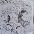 SINGLE- LEVY: SAPOTAKE KUVAPUSSILLA - pikkukuva 1