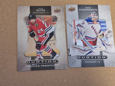2020-21 Upper Deck Extended Ovation #O-11 Igor Shesterkin