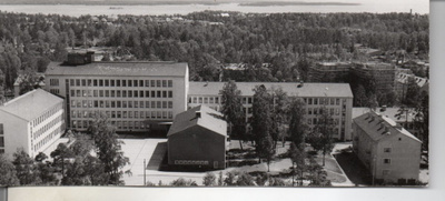Kotka: (pitkä kortti)